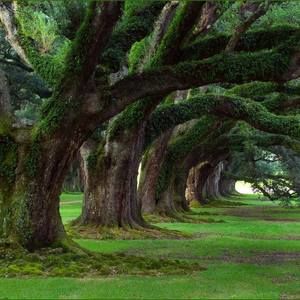 Meet your Posher, Makiyah